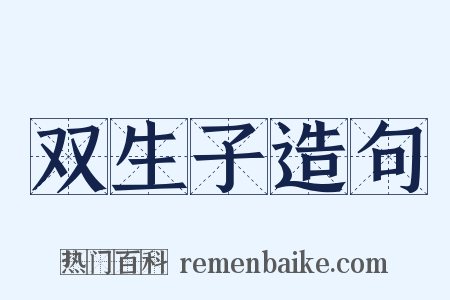 双生子造句是什么意思的图片